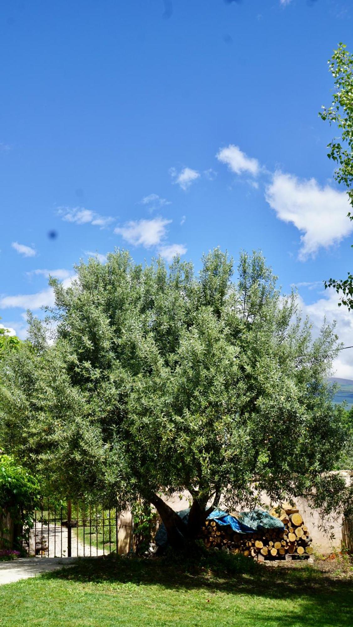 La Belle Histoire Gite Luberon Bedoin Exterior photo